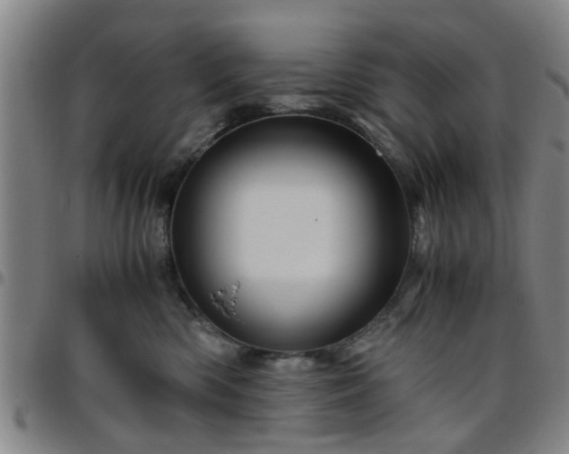 X0000096440426200801311433