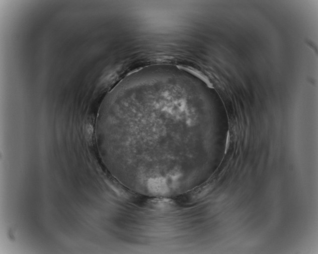 X0000096440427200801311433