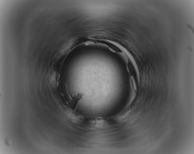 X0000096440428200801311432