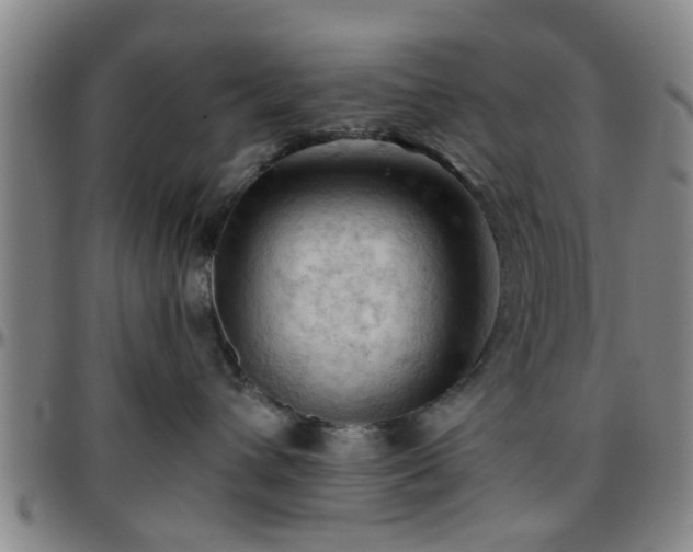 X0000096440432200801311432