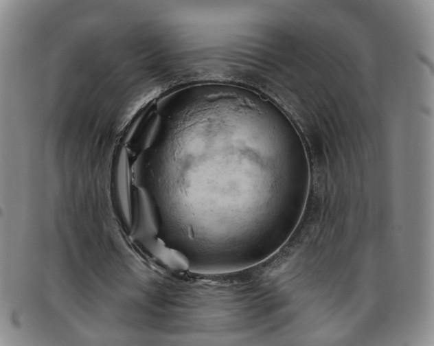 X0000096440434200801311432