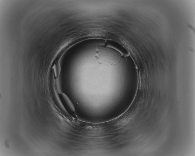 X0000096440435200801311432