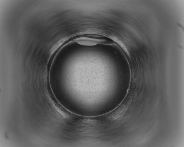 X0000096440437200801311432