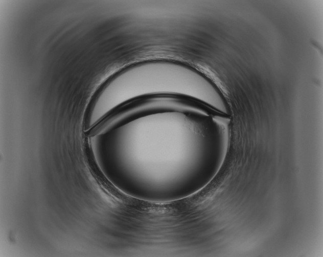 X0000096440439200801311432