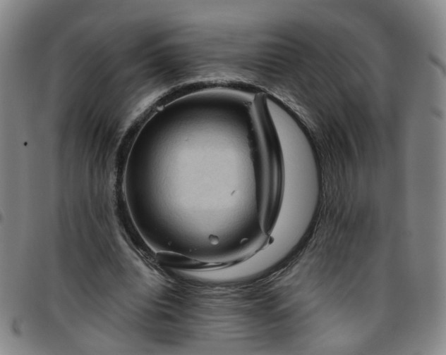 X0000096440440200801311432