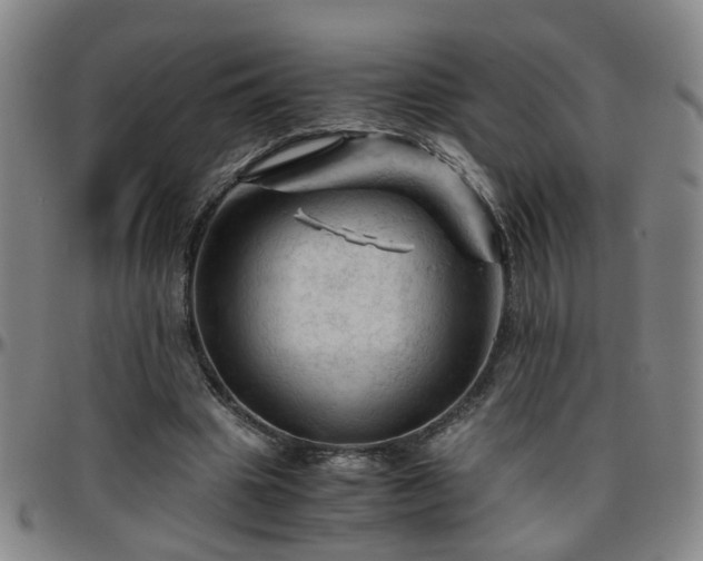 X0000096440441200801311432