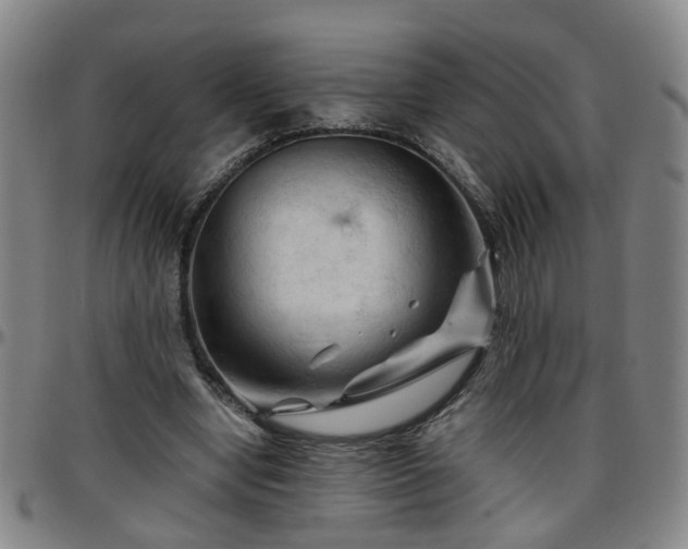 X0000096440442200801311432