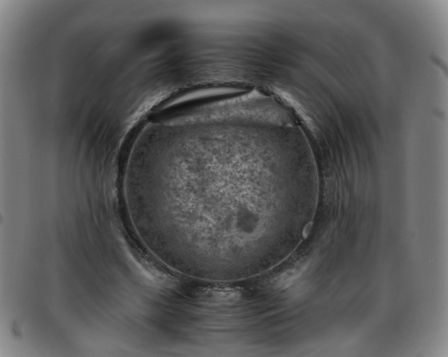 X0000096440443200801311432