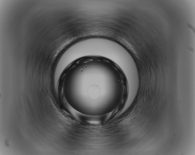 X0000096440444200801311432