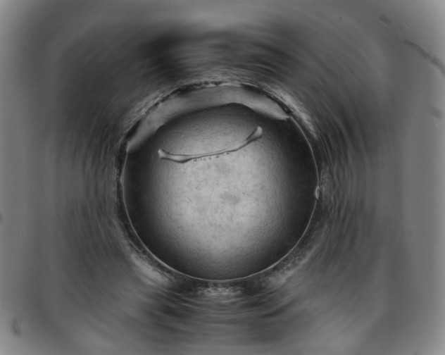 X0000096440445200801311432