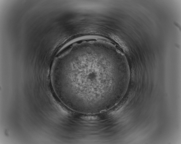 X0000096440449200801311432