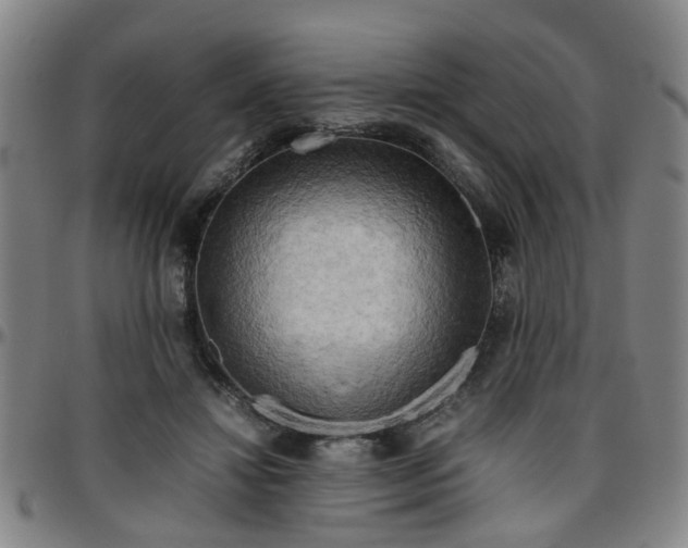 X0000096440452200801311432