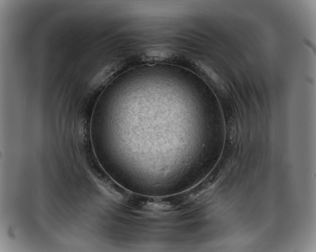 X0000096440455200801311432