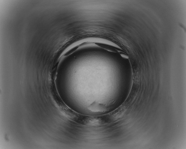 X0000096440456200801311432