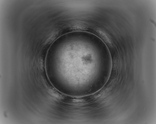 X0000096440457200801311432