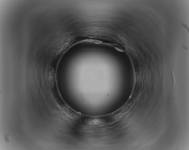 X0000096440460200801311432