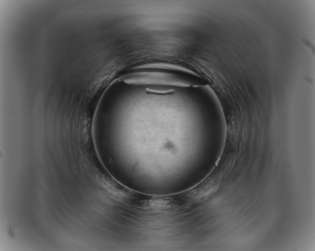 X0000096440462200801311432