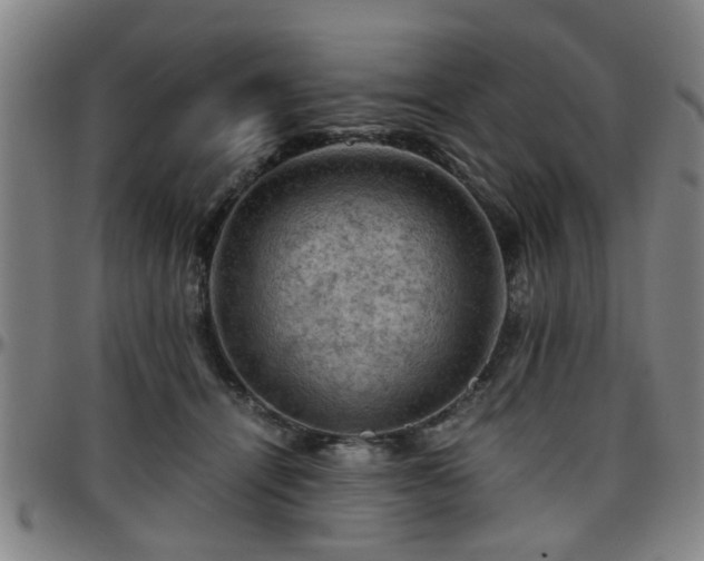 X0000096440464200801311432