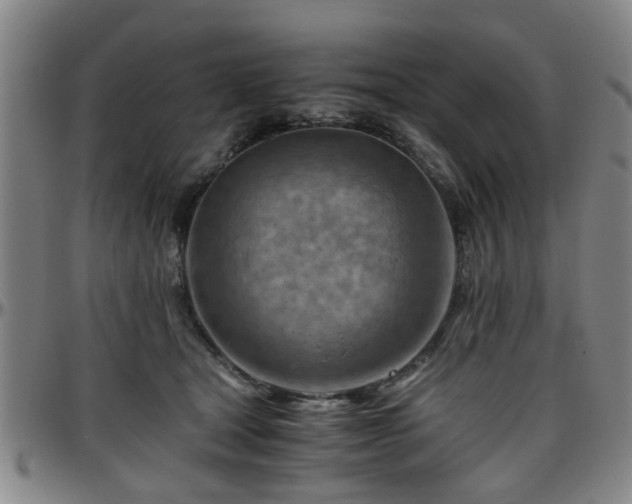 X0000096440465200801311432