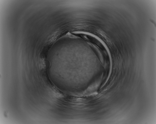 X0000096440467200801311432