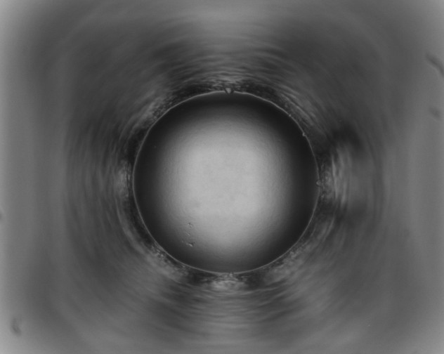 X0000096440468200801311432