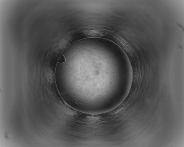 X0000096440469200801311432