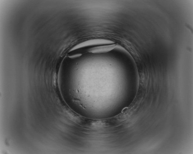 X0000096440470200801311432