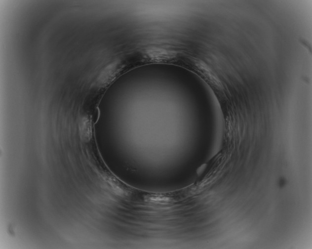 X0000096440471200801311432