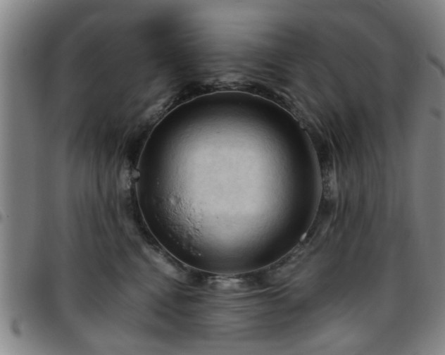 X0000096440472200801311432