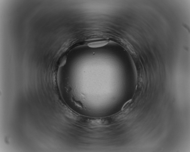 X0000096440473200801311432