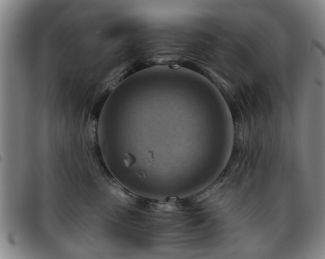 X0000096440475200801311432