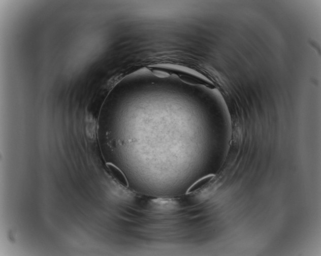 X0000096440477200801311432