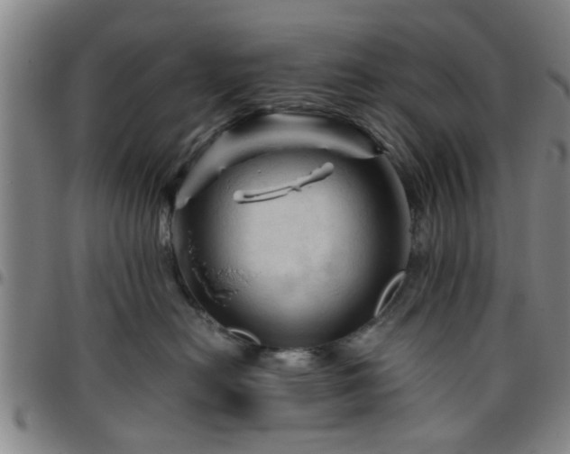 X0000096440478200801311432