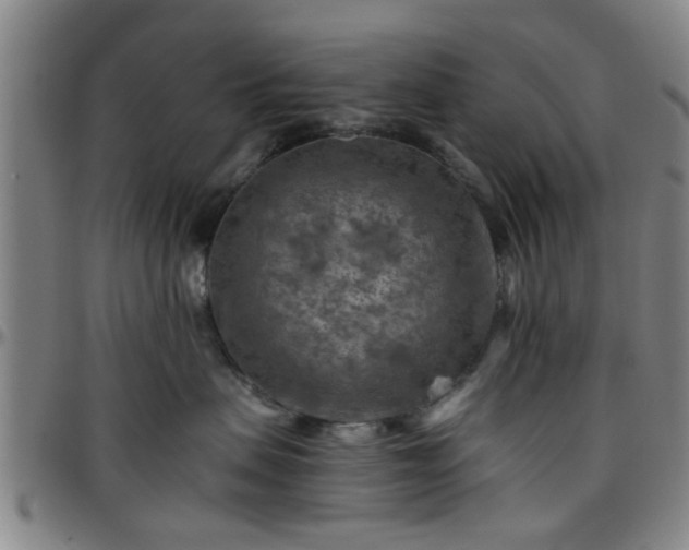 X0000096440479200801311432