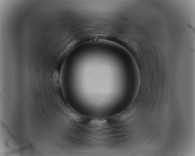 X0000096440480200801311432