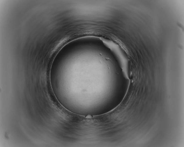 X0000096440482200801311432