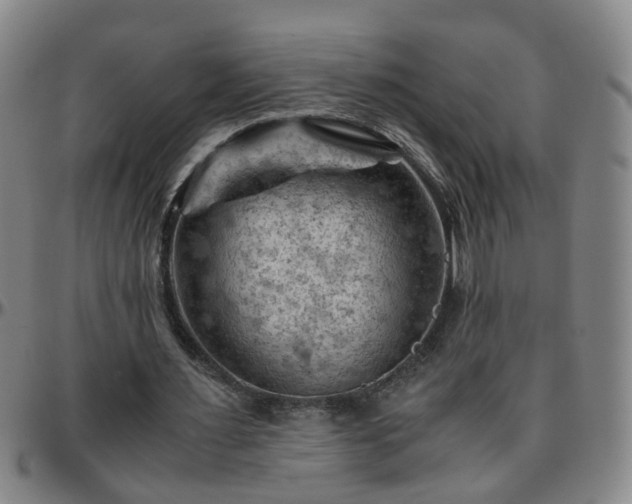 X0000096440483200801311432