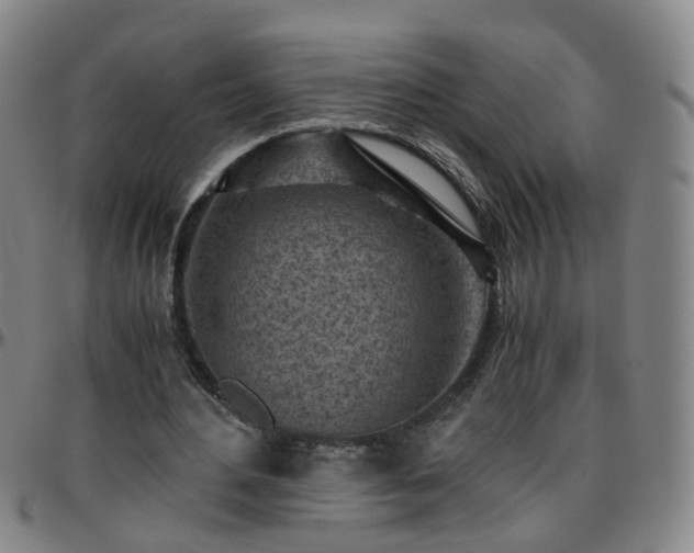 X0000096440484200801311432