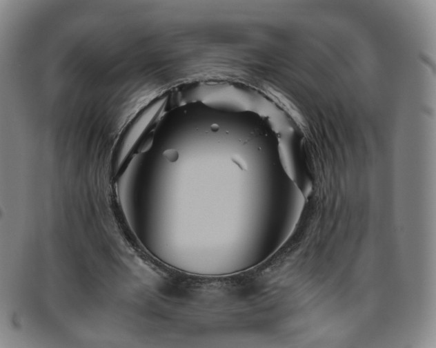 X0000096440485200801311432