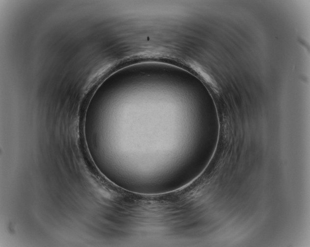 X0000096440486200801311432