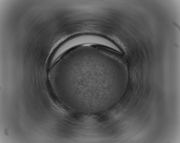 X0000096440488200801311432