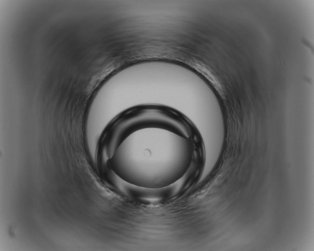 X0000096440489200801311432