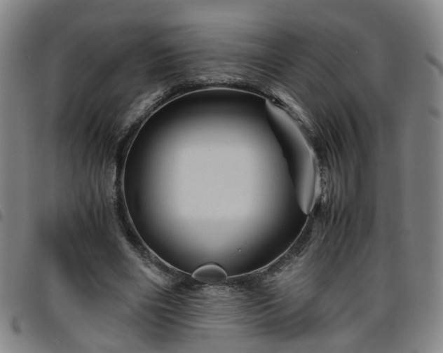 X0000096440490200801311432