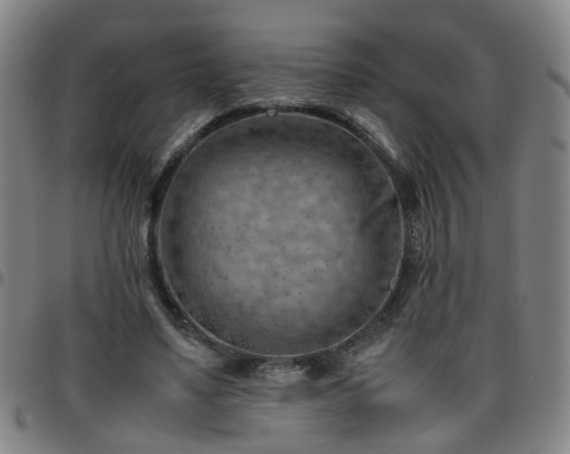 X0000096440491200801311432