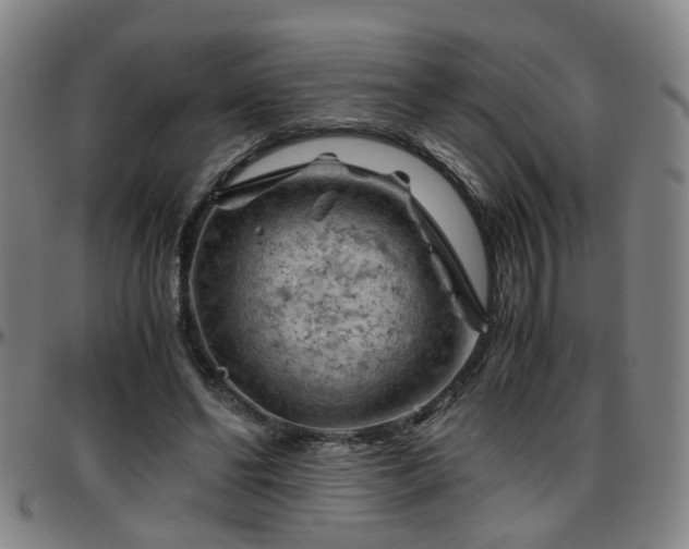 X0000096440494200801311432