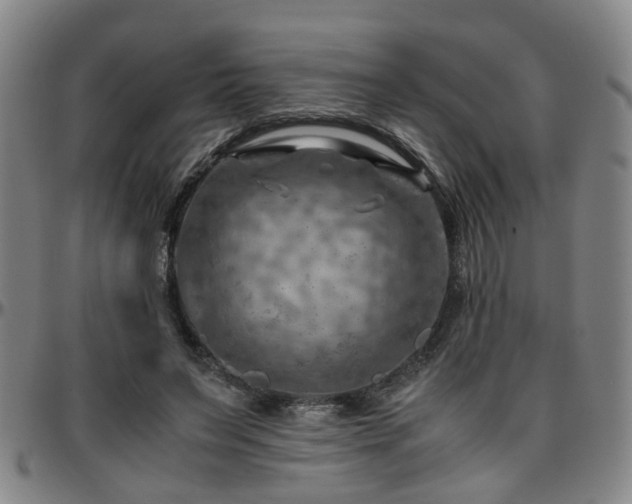 X0000096440495200801311432