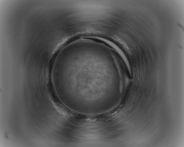 X0000096440496200801311432