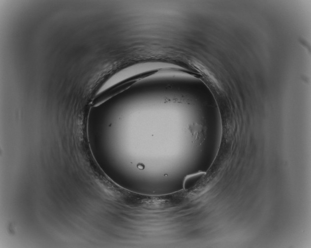 X0000096440497200801311432