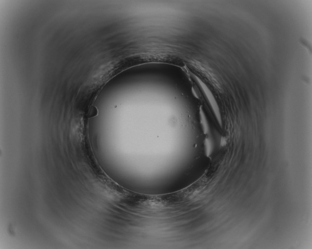 X0000096440498200801311432