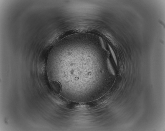 X0000096440499200801311432